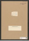 Diatomeae indet. Zeichnungen Sammlung Grunow Nr. 6256 (NHMW-BOT-W0374854)